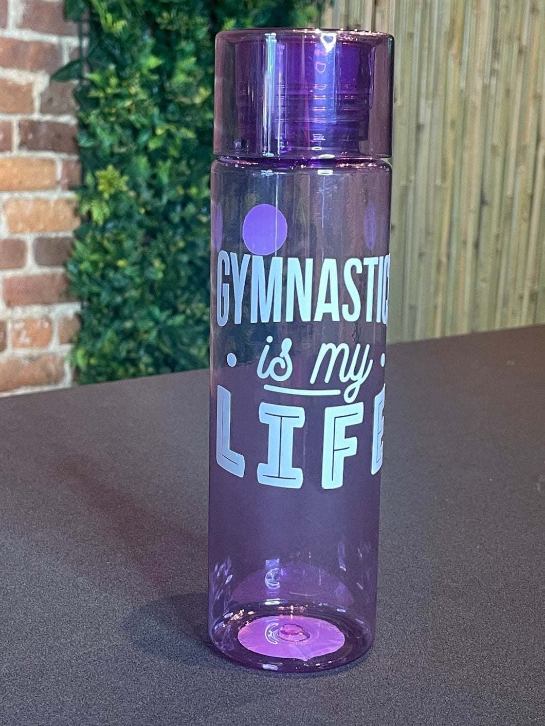Gym Life