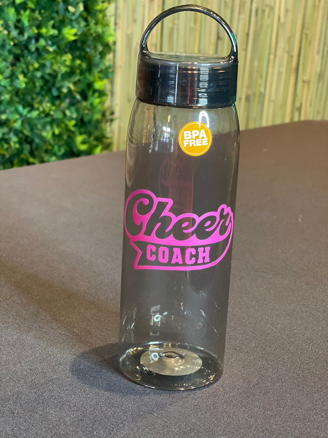 Cheer Coach