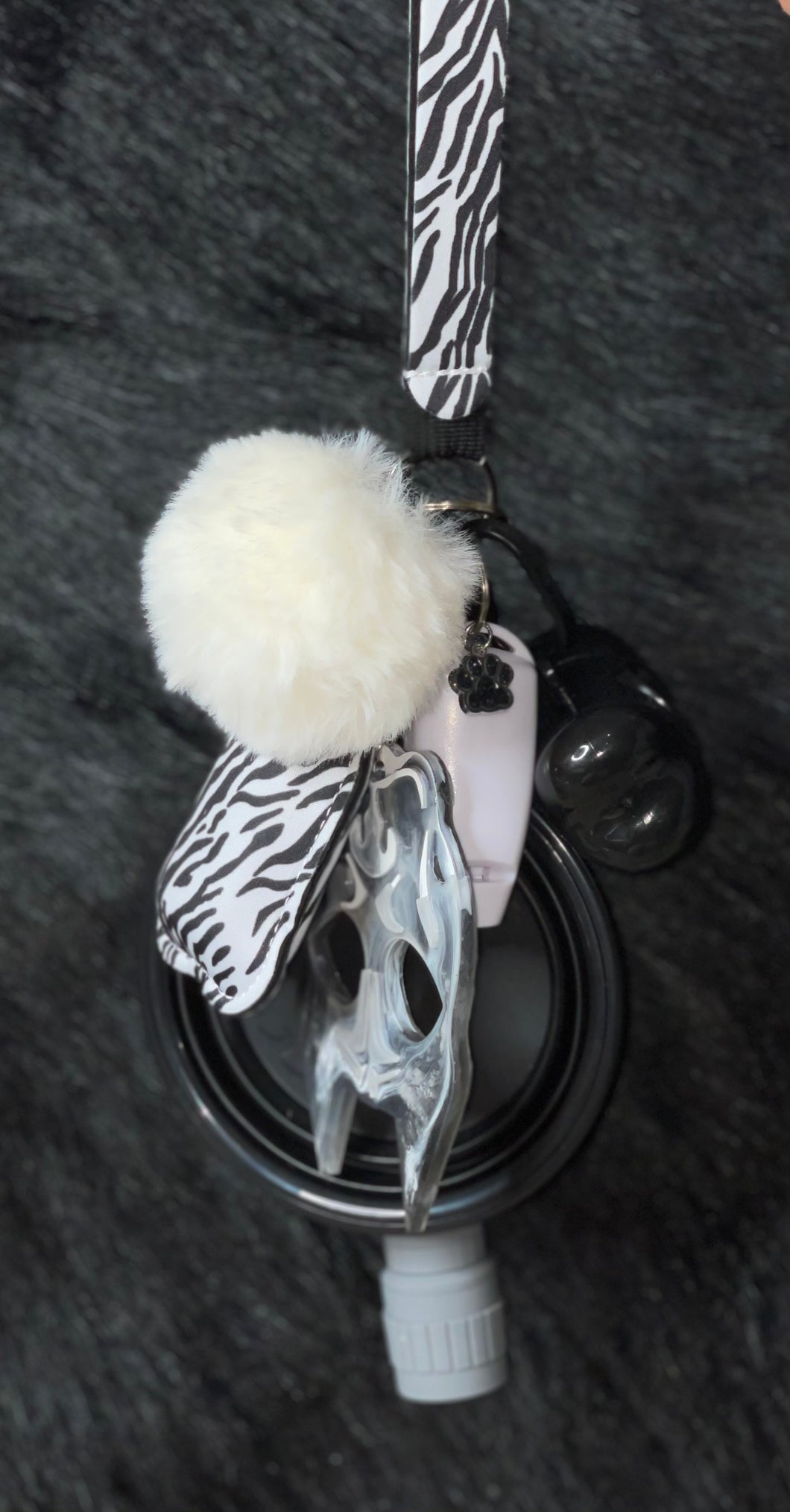 Zoo Zebra